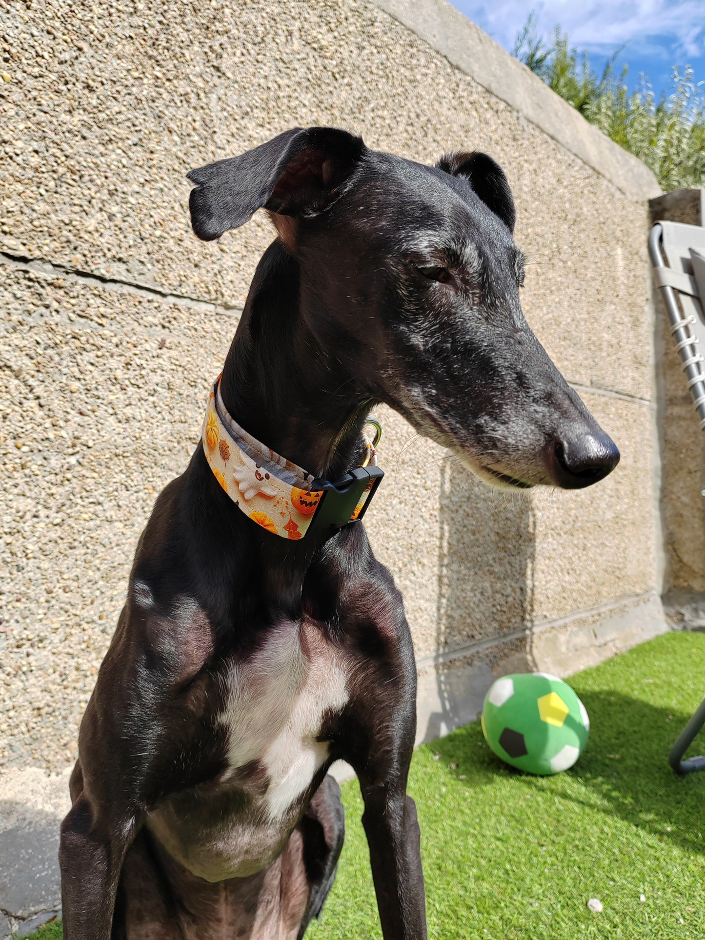 Colección Halloween