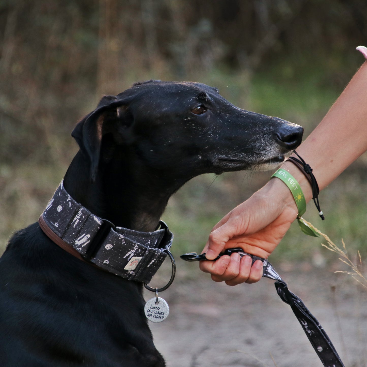 Collar Martingale 5cm